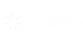 jyoth labs